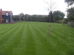 Alan Kemp Garden Services